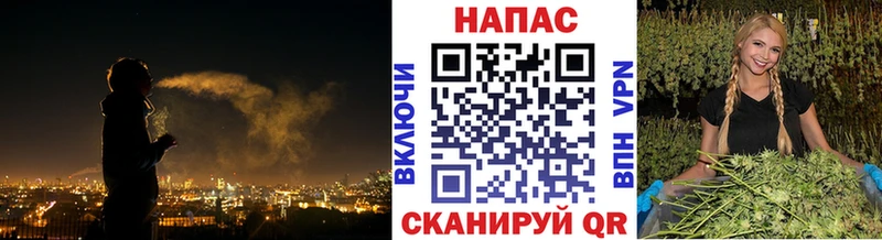 Купить наркотики сайты Жуковский Гашиш Галлюциногенные грибы Alpha PVP АМФ Мефедрон MEGA зеркало МАРИХУАНА