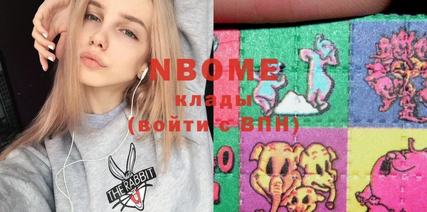 соль ск Вяземский