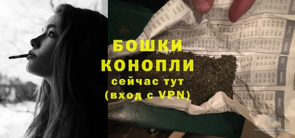 прущий лед Вязьма